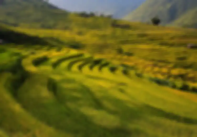 Ciri-ciri Negara Agraris dan Mengapa Indonesia Disebut Negara Agraris