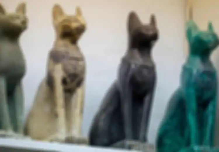 Tak Melulu Dipuja-puja, Ternyata Ada Alasan Biadab dan Kejam Mengapa Orang Mesir Kuno Terobsesi pada Kucing, Penelitian Ini Buktinya