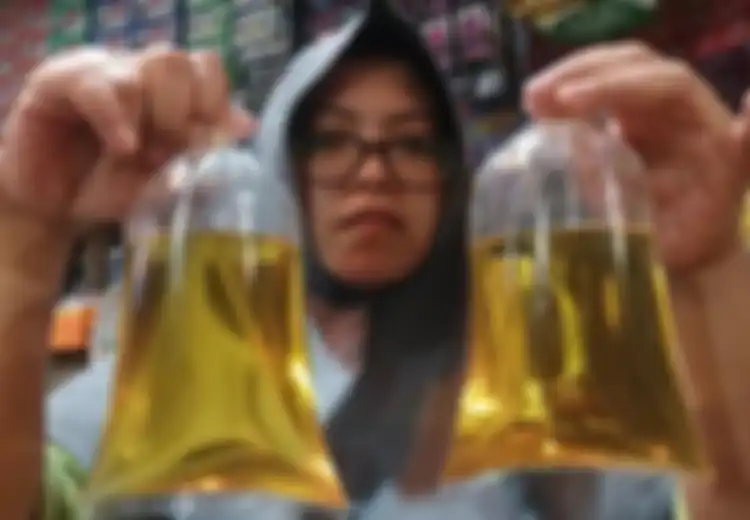 Jadi Peringkat 1 dan 2 Negara Penghasil Minyak Sawit Terbesar di Dunia, Bandingkan Harga Goreng di Indonesia dan Malaysia, Beda Jauh!