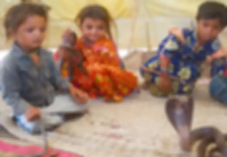 Para Penakluk Ular Berbisa: Begini Kehidupan Anak-anak 'Keturunan Ular' di India