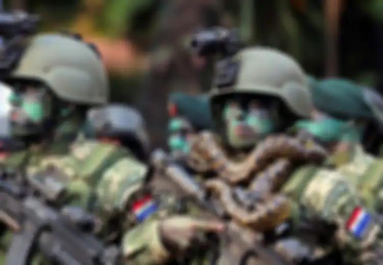 Miris, Tentara Paraguay Ini Terbunuh Oleh 'Hewan Ganas' Hadiah Dari India Ini, Patroli di Istana Presiden Malah Dihajar Hewan Ini Sampai Tewas