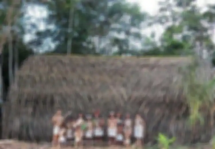 Lima Misionaris Amerika Ditombak Hingga Tewas, Inilah ‘Keganasan’ Suku Huaorani yang Anggap Anaconda dan Jaguar Binatang Suci bagi Suku yang Terkenal dan Ditakuti di Amazon, Namun Hampir Punah Ini