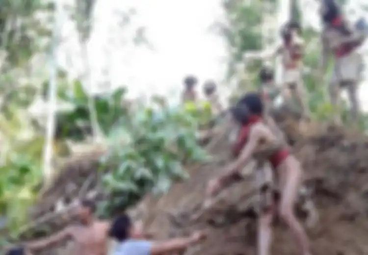 Kehidupan Suku Togutil di Pedalaman Hutan Halmahera, Semakin Kesusahan Pangan di Hutan Rumah Mereka Sendiri