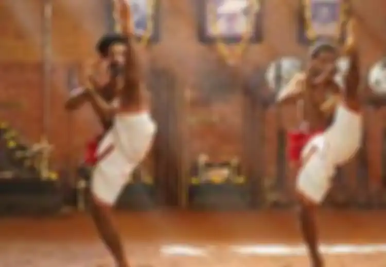 Berumur 3.000 Tahun,  Inilah Kalaripayattu, Seni Bela Diri India Tertua yang Jadi Dasar Munculnya Kung Fu dan Karate, Sempat Dilarang Kolonial  Inggris, Kini Dikaitkan Sebagai Pengobatan Ayurveda