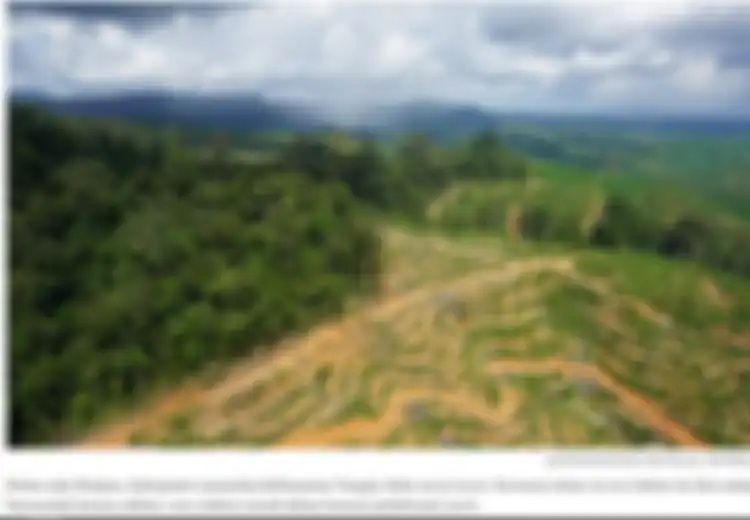 Berani Pasang Badan Bela Hutan Adat, Kades di Kalteng Malah Diseret Perkara Korupsi yang Terjadi Sebelum Dirinya Menjabat, Kasus Rekan Seperjuangan Tak Kalah 'Aneh'