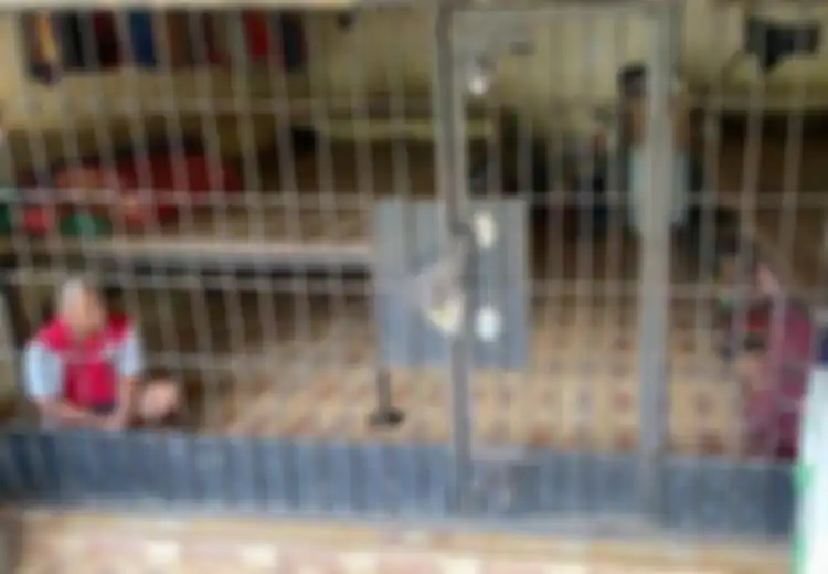 Kasus Kerangkeng Manusia untuk Perbudak Puluhan Pekerja Sawit, Persoalan 550 Budak Perdagangan Ikan Juga Pernah Terkuak di Maluku hingga Buat Para ABK Cacat dan Meninggal