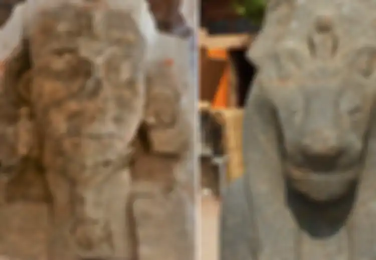 Berumur Sekitar 3.300 Tahun, Dua Sphinx yang Gambarkan Kakek Firaun Tutankhamun Ini Ditemukan di Mesir dalam Keadaan Setengah Tenggelam di Dalam Air