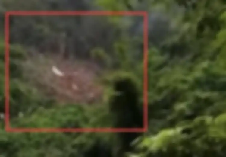 Kecelakaan Pesawat di China Jadi Sorotan Dunia, Terkuak Deretan Kecelakaan Tragis Pesawat Boeing 737 Salah Satunya Dialami Indonesia  3 Tahun Lalu, Disebut Kecelakaan Paling Mematikan