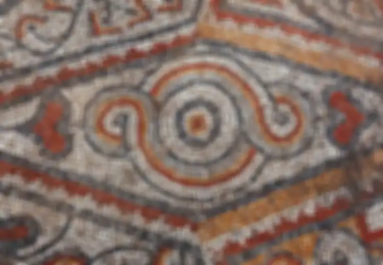 Berusia 1.900 Tahun, Arkeolog Temukan Lantai Mosaik di Efesus, Tempat Tinggal Warga yang Terkemuka dan Kaya di Bawah Kekuasaan Romawi Kuno