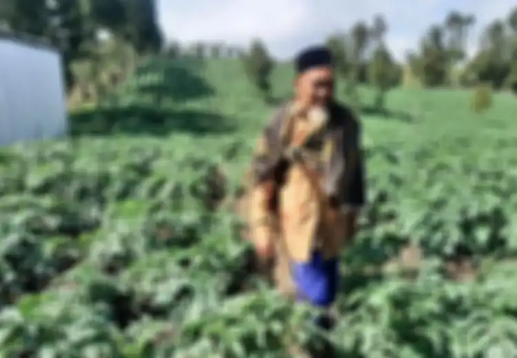 Sering Diremehkan Profesi Bertani, Sosok Mbah Kerto Ini Justru Berhasil Jadi Miliarder Berkat Berkebun, Segini Jumlah Penghasilannya Kini