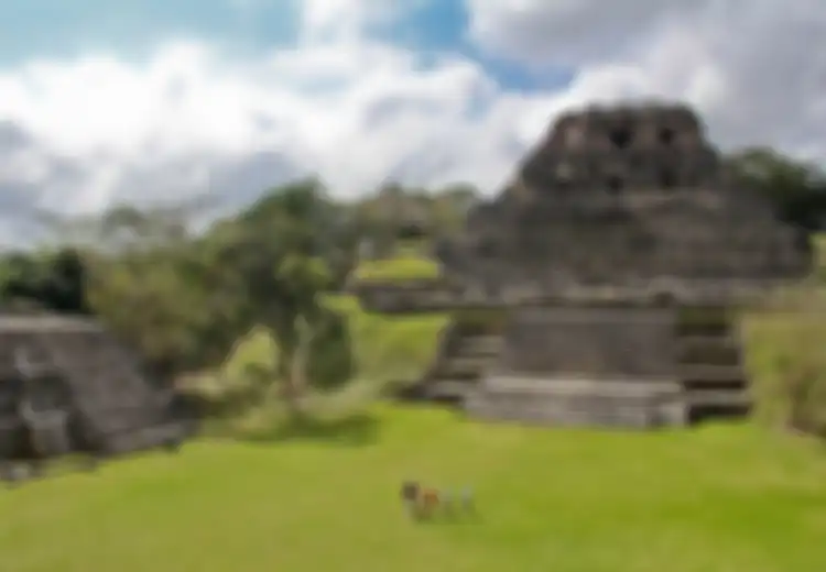 Diyakini Milik Penguasa Maya, Makam Suku Maya Terbesar yang Pernah Ada Ini Ditemukan di Situs Xunantunich Bersama Benda-benda Kuburan dan Sisa-sisa Hewan yang Dipercaya Sebagai Dewa Penjaga