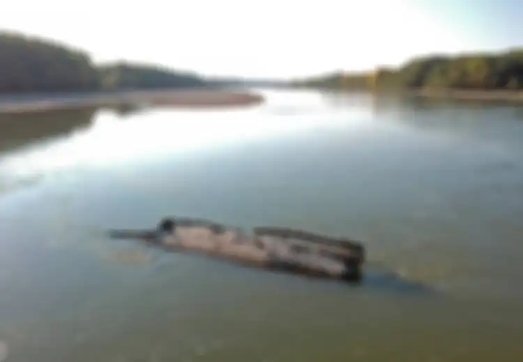 Puluhan Bangkai Kapal Perang Dunia 2 Muncul ke Permukaan Akibat Menyusutnya Air Sungai Danube di Eropa yang Dilanda Kekeringan, Dampaknya Sangat Berbahaya bagi Alam