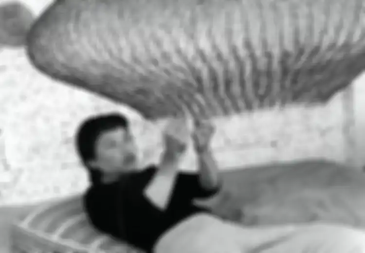 Kisah Ruth Asawa, Seniman yang Ciptakan Patung-patungnya dengan Karya Inovatif dan Abstrak dengan Keunikan Materi Pembuatannya, Terinspirasi Alam dan Orang-orang di Sekitarnya