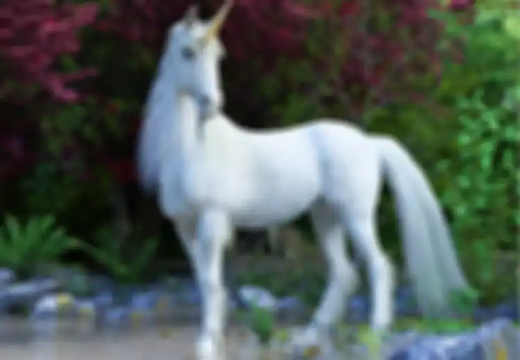 Digambarkan Sebagai Kuda Putih dengan Tanduk Spiral, Inilah Legenda Unicorn, Hewan Nasional Skotlandia yang Tidak Biasa, Dipercaya Punya Kekuatan Magis
