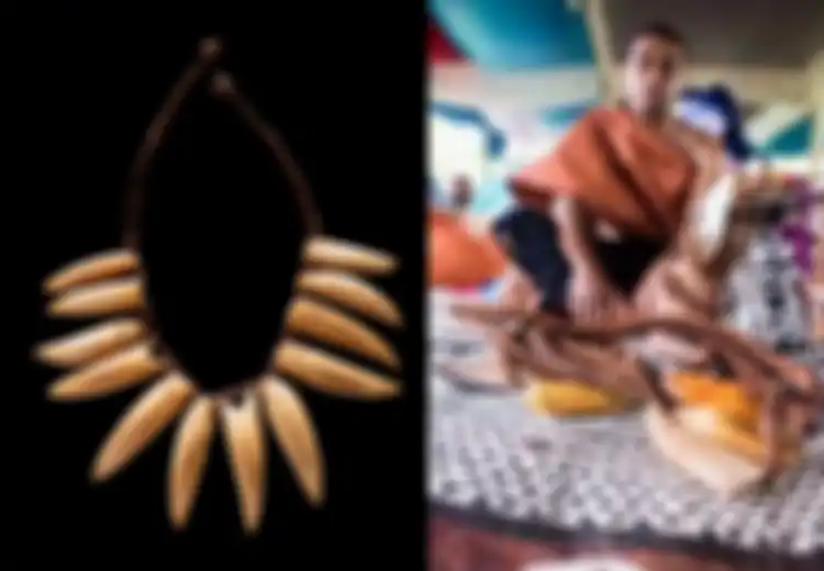 Tabua, Ritual Pernikahan di Fiji, Jangan Pernah Katakan ‘Aku Cinta Padamu’ Tanpa Gigi Paus Sperma