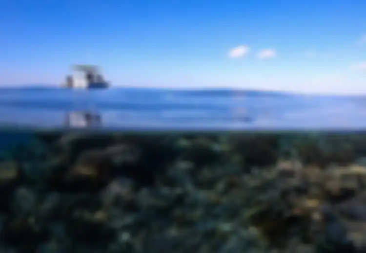 Klaim Pulau Pasir, Australia Sudah Perlahan Hancurkan Perairan NTT Sejak 2009