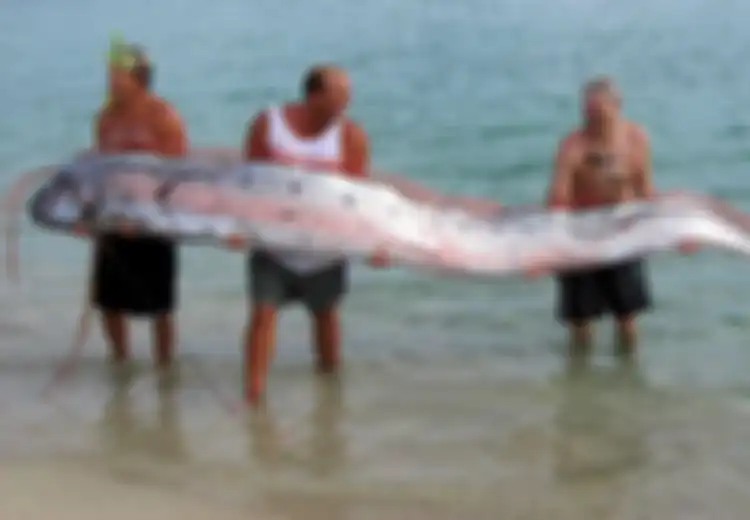 Bagaimana Oarfish Menjadi Objek Legenda dan Cerita Rakyat di Berbagai Negara, Khususnya Jepang