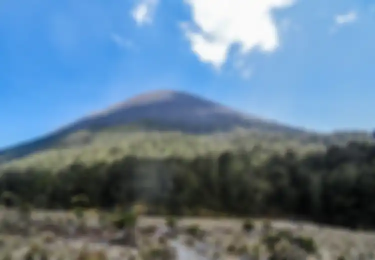 Menjulang di Atas Awan, Inilah 10 Gunung Tertinggi di Indonesia!