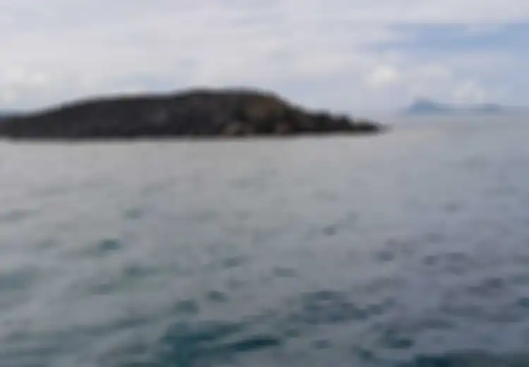 Heboh Pulau Baru Tanibar Muncul Setelah Gempa, Ini Daftar Pulau yang Muncul Setelah Gempa