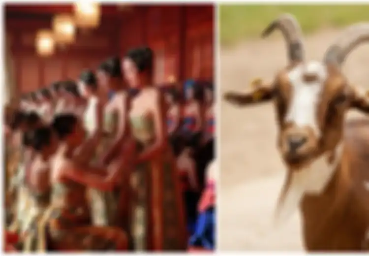 Termasuk Memilih Selir Dengan Kambing, Ini 4 Cerita Gila Kaisar Tiongkok Kuno