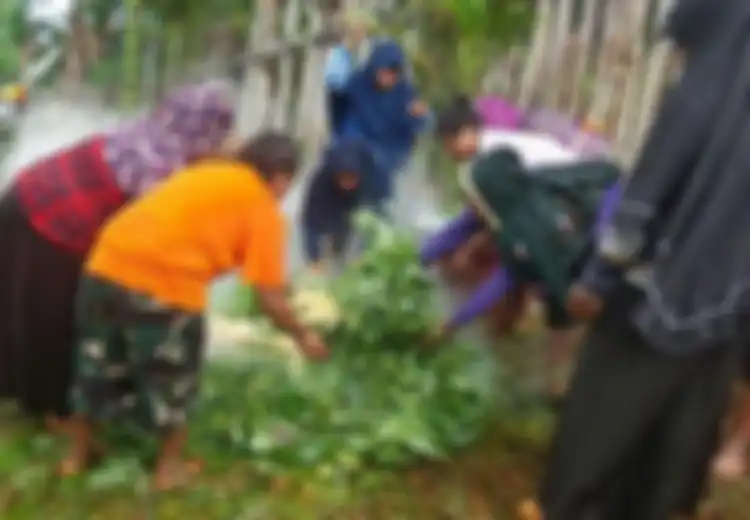 Mengusung Semangat Kebersamaan, Tradisi Bakar Batu Berasal Dari Mana?
