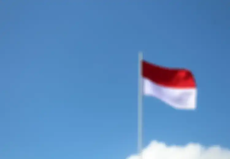 Bagaimana dan Apa Hubungan antara Cinta Tanah Air dan Nasionalisme?