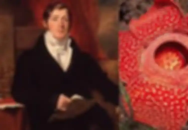 Sosok Thomas Stamford Raffles, Penjajah Inggris yang Jatuh Cinta dengan Budaya Indonesia