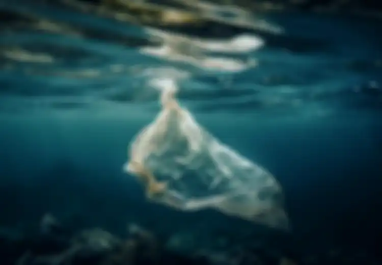 20 Ucapan Hari Bebas Kantong Plastik Sedunia, Peristiwa Pengingat Bahaya Sampah Plastik