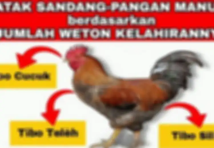 Arti Weton Tibo Cucuk Menurut Primbon Jawa, Benarkah Sosoknya Gampang Dapat Rezeki?