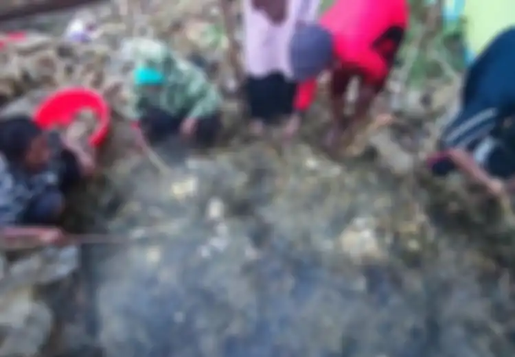 Tradisi Bakar Batu, Cara Orang Papua Bersilaturahmi Dan Bertoleransi Dengan Masyarakat Lain