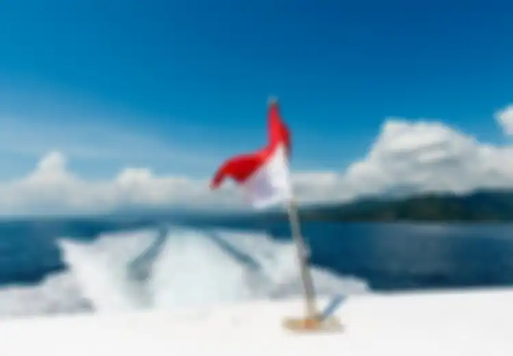 Jadi Semboyan Bangsa Indonesia, Inilah Arti Bhineka Tunggal Ika