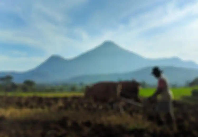 Apa Saja yang Sebaiknya Dilakukan Petani Ketika Akan Menanam dan Alasan Mengapa Hal Itu Diperlukan!