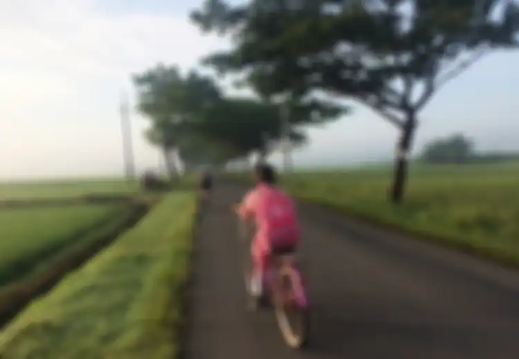 Inilah Kebutuhan Kota yang Ditopang oleh Desa, Bagi Masyarakat yang Tinggal di Kota Atau Pinggiran Kota