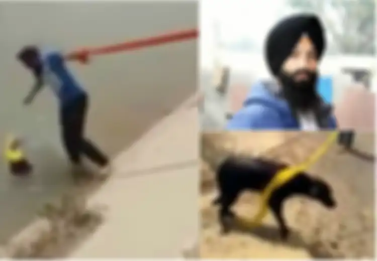 Laki-laki Sikh Ini Rela Melanggar Aturan Agama Demi Selamatkan Anjing yang Tenggelam
