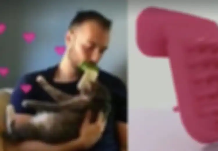 Licki Brush, Sikat untuk Menjilat Kucing Peliharaan Kita