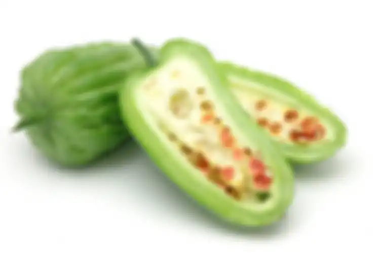 Rasa Pahit, Manfaat Selangit