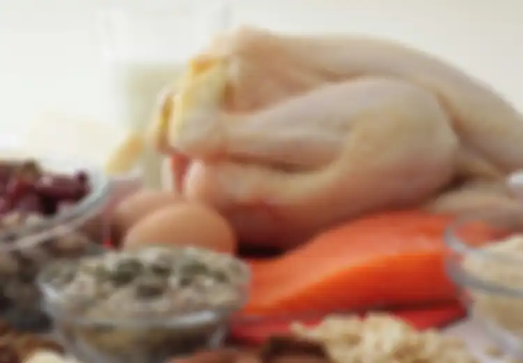 Asupan Protein Bisa Singkirkan Lemak Tubuh
