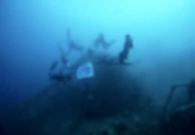 Freediving: Menyelam Tanpa Alat, Apa Bisa? (3)