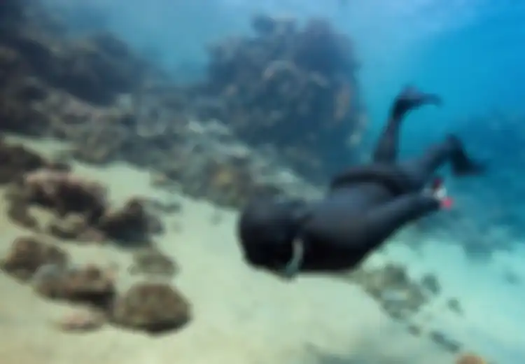 Freediving: Menyelam Tanpa Alat, Apa Bisa? (1)