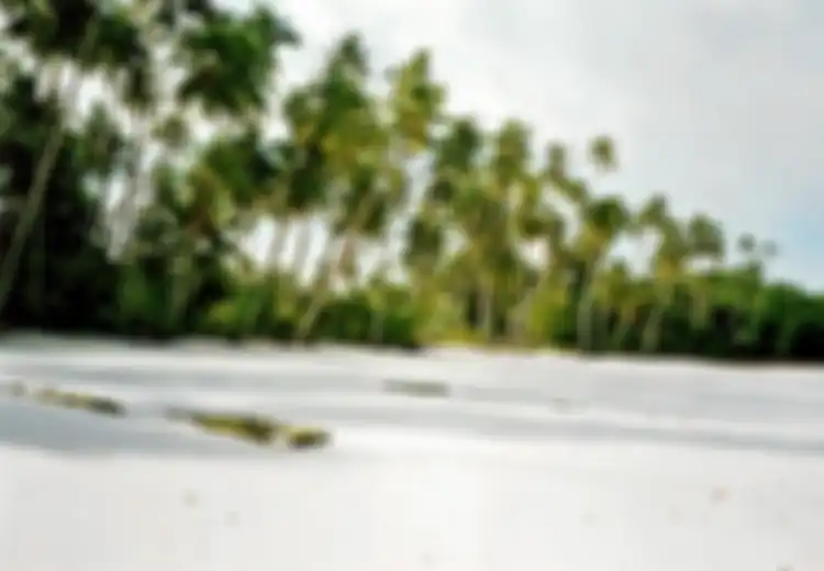 Menginjak 'Hamparan Tepung' di Pantai Ngurbloat