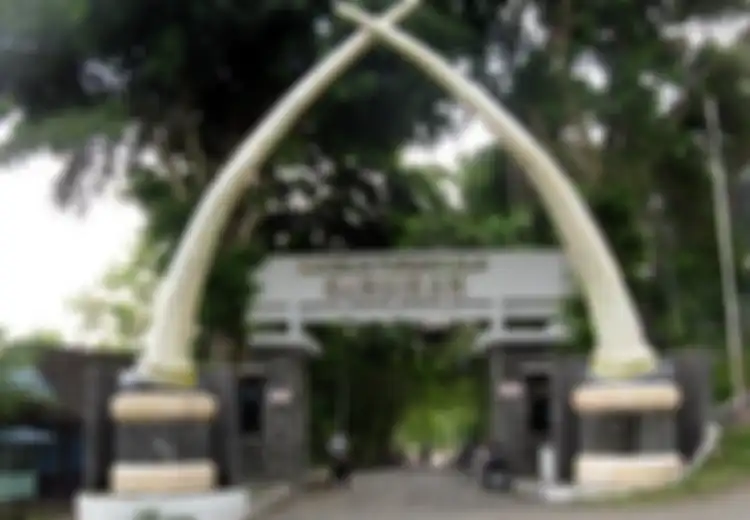 Museum Sangiran, Menyusuri Jejak Manusia Purba