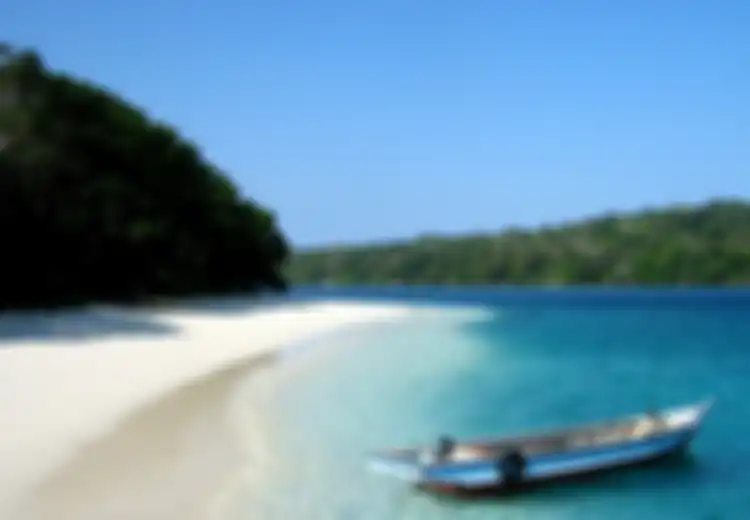Berharap Bertemu Badak di Ujung Kulon