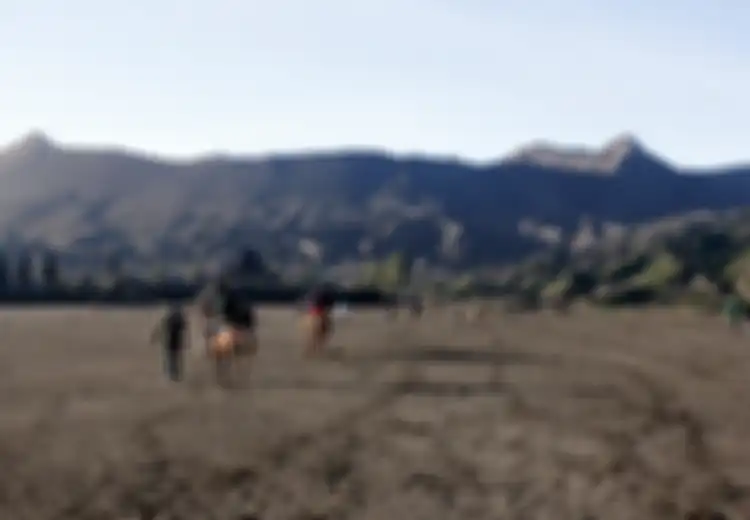 HOK Tanzil Terperosok dalam Pasir Bromo