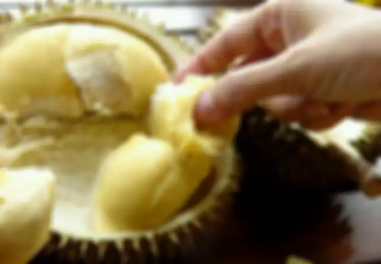 Tips Manjur Memilih Durian Masak, Ternyata Sangat Mudah! Anda Pasti Bisa Melakukannya!