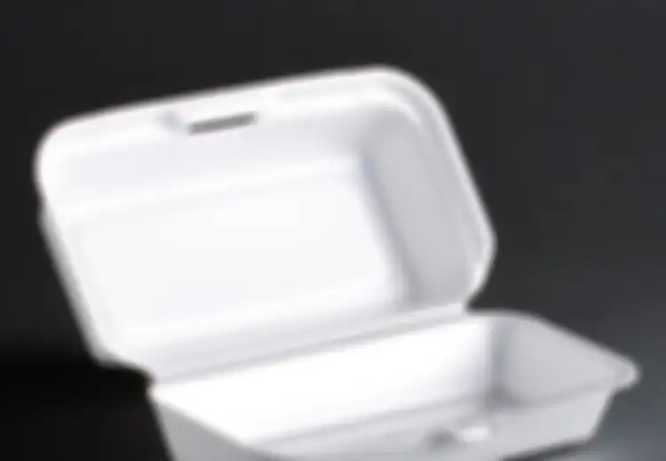 Kelak, Penggunaan Styrofoam Sekali Pakai Akan Dilarang di New York