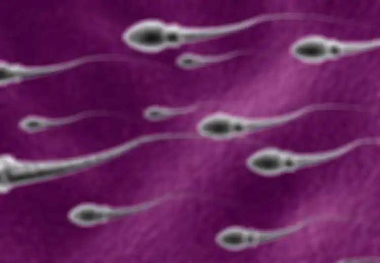 Lima Hal Agar Sperma Sehat