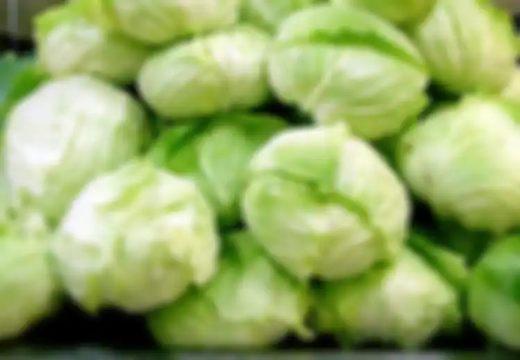 5 Makanan Penyebab Perut Kembung