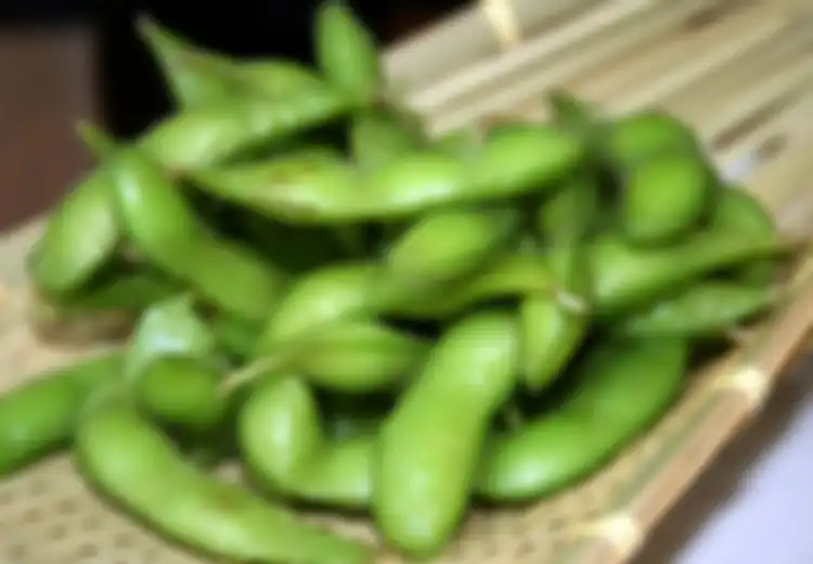 Makanan Sehat Kaya Serat