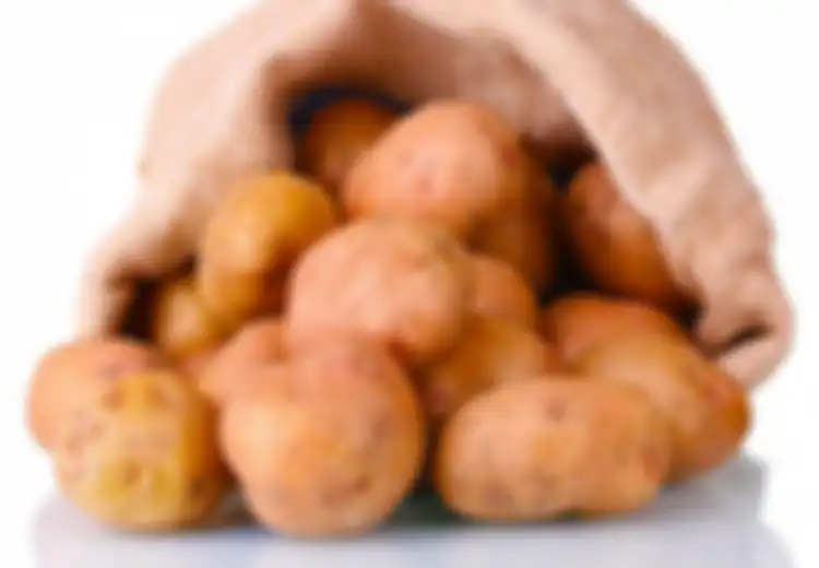 4 Jenis Makanan Mematikan