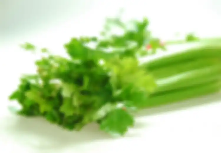 Makanan Peluntur Asam Urat